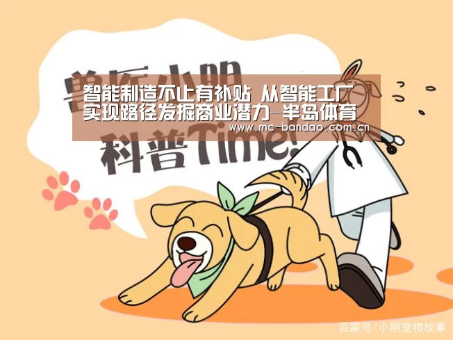 智能制造不止有补贴 从智能工厂实现路径发掘商业潜力-半岛体育注册(图1) 半岛体育官网