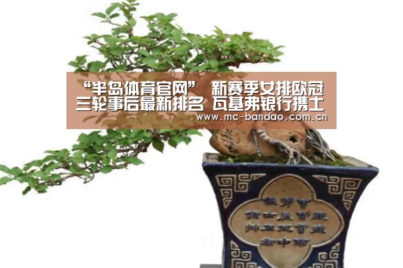 “半岛体育官网”
新赛季女排欧冠三轮事后最新排名 瓦基弗银行携土超三强高居榜首(图3) 半岛体育APP