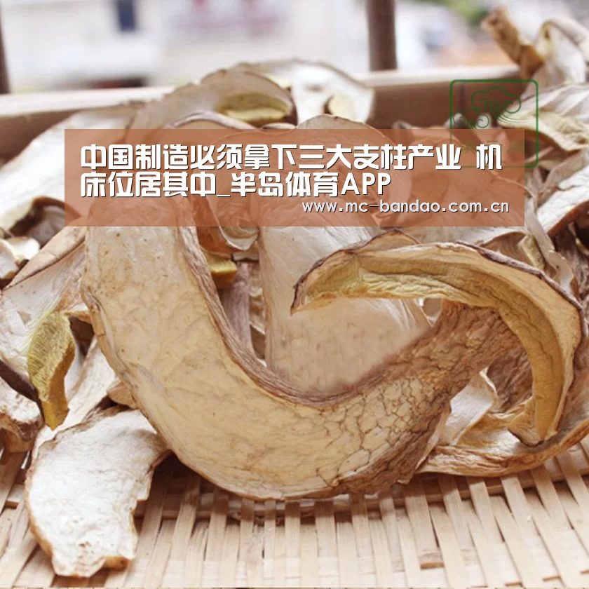 中国制造必须拿下三大支柱产业 机床位居其中_半岛体育APP(图2) 半岛体育下载